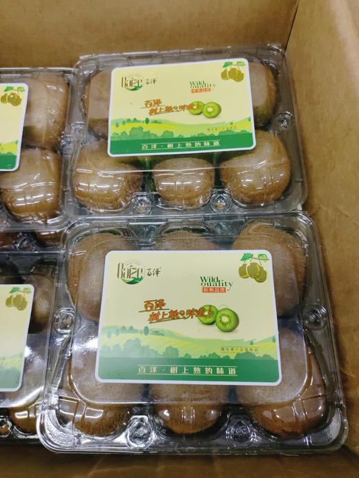 30合一百泽一件 商品图1