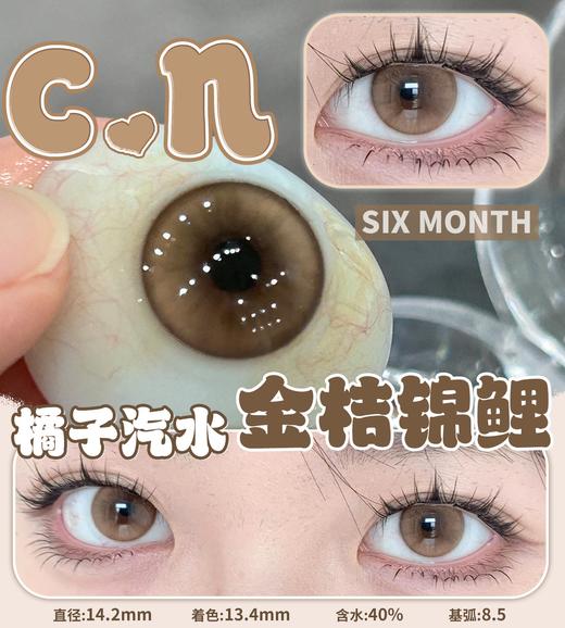 CN花花兔半年抛--金桔锦鲤 商品图10