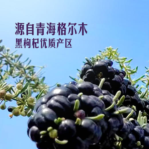 MM 山姆 Member's Mark 精选黑枸杞 240g 商品图2
