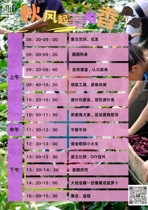 【智行研学】11月16日“秋风起，菱角香”研学活动 商品图0