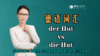 【德语词汇】der Hut vs die Hut 商品缩略图0