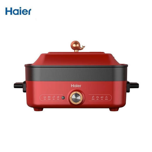 海尔 多功能料理锅电火锅烹饪锅烧煎烤蒸煮一机多用 5L DYG-MX5001A 商品图0