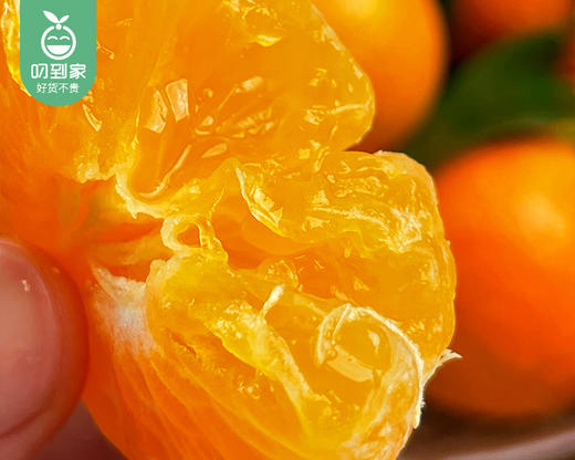 云南金秋砂糖橘/1份（1kg±50g） 商品图1