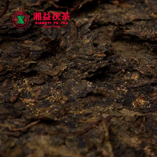 安化黑茶 | 湘益 2024年 传承金花茯砖茶 900g 商品图3