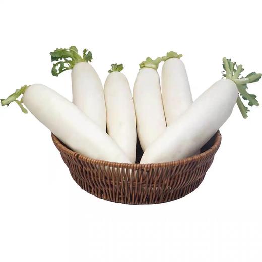 韶关农家白萝卜 | 蔬菜 商品图0