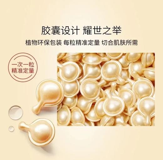 伊丽莎白雅顿 金胶 夜间面部精华液 60粒/90粒 商品图1