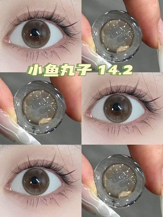 CN花花兔半年抛--小鱼丸子 商品图6