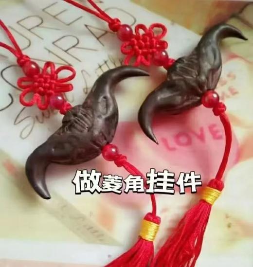 【智行研学】11月16日“秋风起，菱角香”研学活动 商品图8