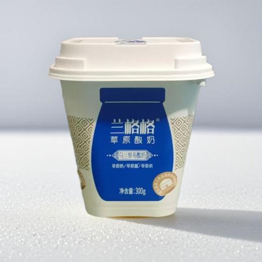 兰格格原味乌兰察布酸奶300g 商品图0