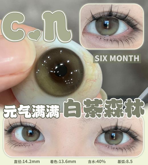 CN花花兔半年抛--白茶森林 商品图12