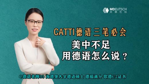【CATTI德语三笔必会】美中不足，用德语怎么说？ 商品图0