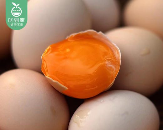湖北恩施可生食富硒无抗鸡蛋（约1650g/盒 30枚 单颗约55g）生产日期：4月13日 保质期：冷藏30天 商品图3