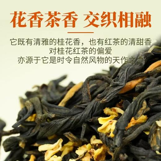 滇红 | 2024年原生态 0添加 桂花红茶100g/罐 商品图2