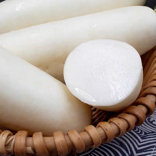 韶关农家白萝卜 | 蔬菜 商品图2
