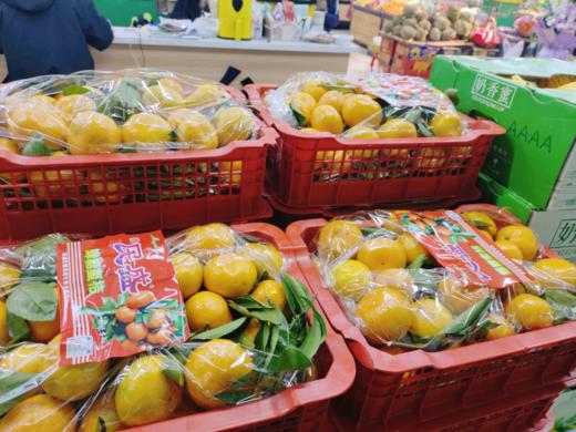 蜂糖蜜桔一箱 商品图1