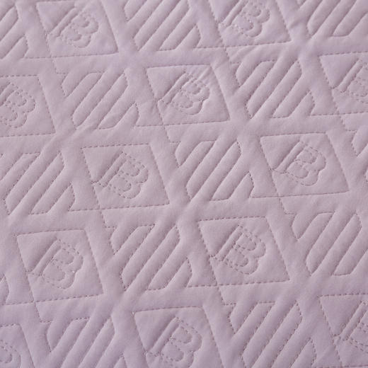 【专柜大牌品质】轻奢全棉磨毛床盖夹棉四件套 商品图5