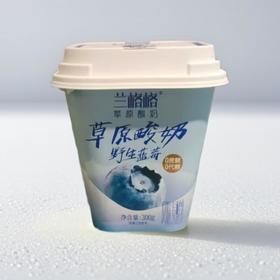 兰格格野生蓝莓草原酸奶 /300g