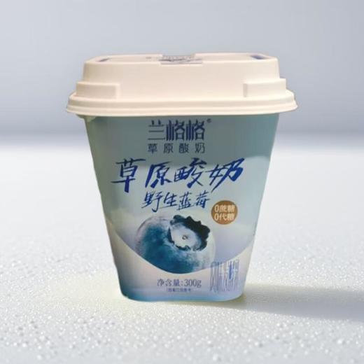兰格格野生蓝莓草原酸奶 /300g 商品图0