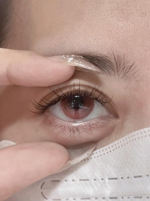 CN花花兔半年抛--腥红之月 商品图8