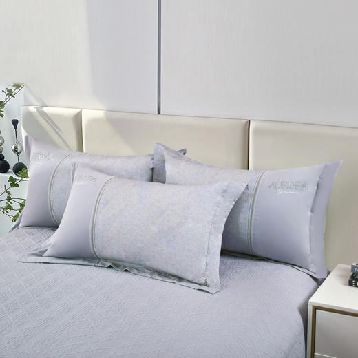 【专柜大牌品质】轻奢全棉磨毛床盖夹棉四件套 商品图8