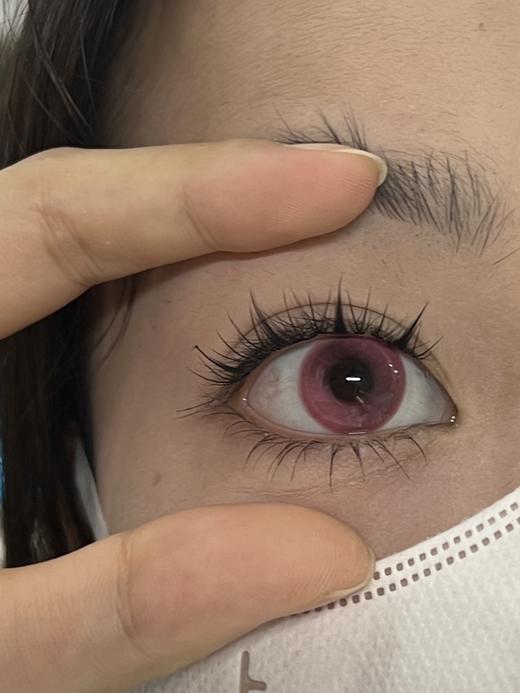 CN花花兔半年抛--腥红之月 商品图1