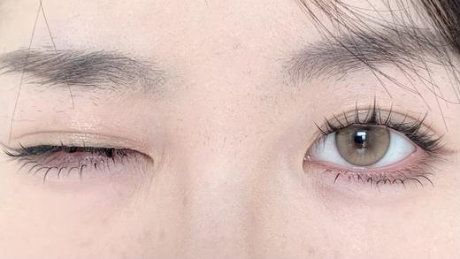 CN花花兔半年抛--金桔锦鲤 商品图11