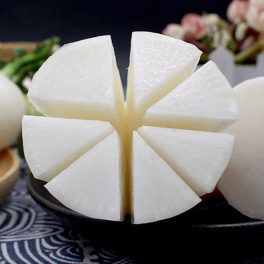 韶关农家白萝卜 | 蔬菜 商品图1