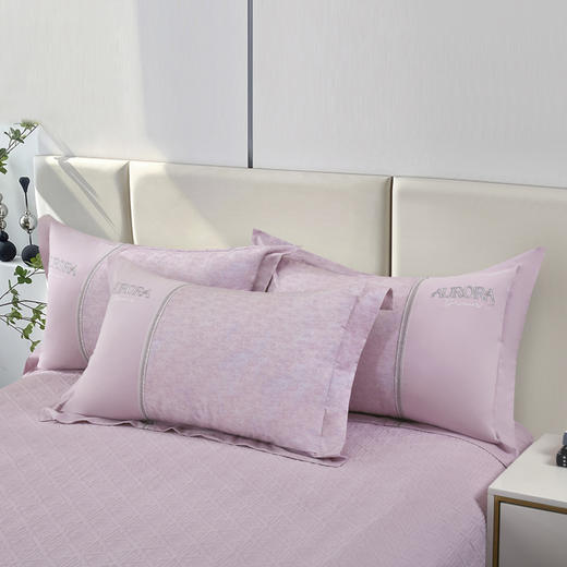 【专柜大牌品质】轻奢全棉磨毛床盖夹棉四件套 商品图1