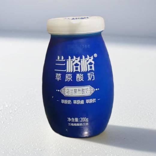 兰格格蒙古族酸奶  /200g 商品图0