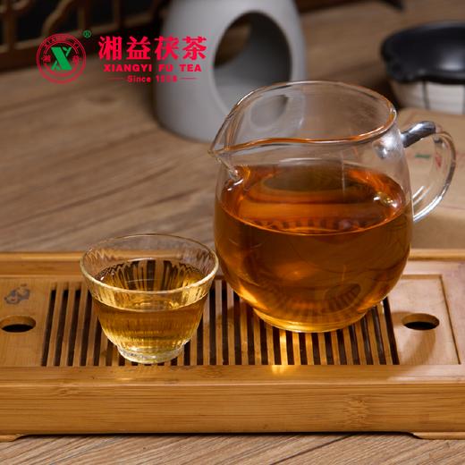 安化黑茶 | 湘益 2024年 传承金花茯砖茶 900g 商品图4