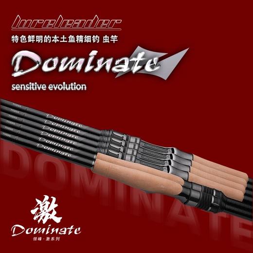 25款Lureleader领峰激系列路亚竿翘嘴鳜鱼鲈鱼轻量化虫竿直柄枪柄 商品图1