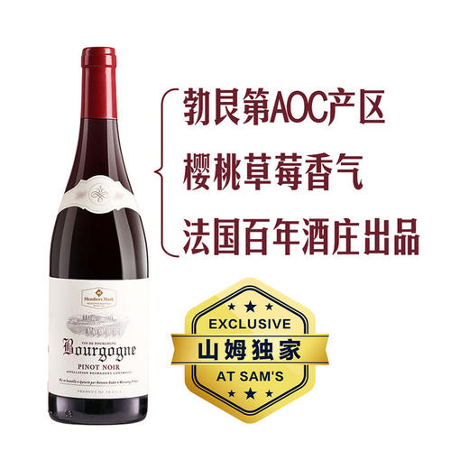 MM 山姆 Member's Mark MM法国进口 勃艮第黑皮诺红葡萄酒 750ml 商品图0