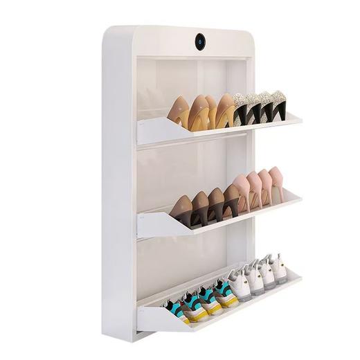 网红多层鞋柜门口鞋架现代轻奢入户超薄家用小户型翻斗收纳玄关柜 商品图1