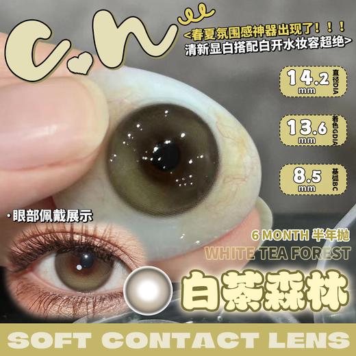 CN花花兔半年抛--白茶森林 商品图3