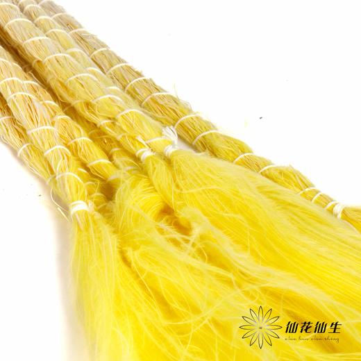 荷兰花材 | 针茅嫩黄色 商品图2