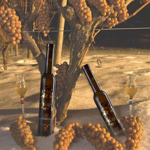 MM 山姆 枫菱（Ice Star）加拿大进口 冰葡萄酒 375ml 商品图3