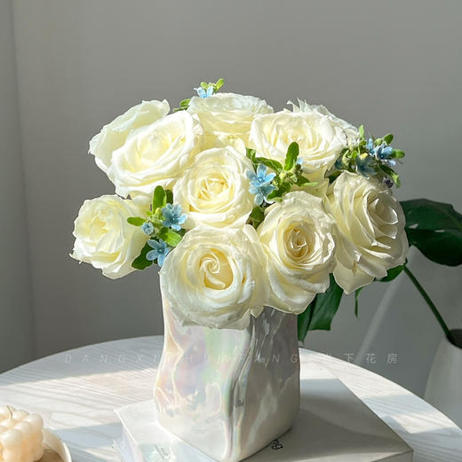 【你是我最美的相遇】AB级白玫瑰10支+AB级蓝星花5支/扎 商品图0