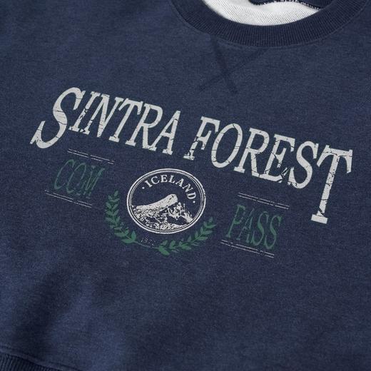 ROMI STUDIO“美式复古”100%棉龟裂印花做旧短款卫衣 RW24ASM0258 商品图3