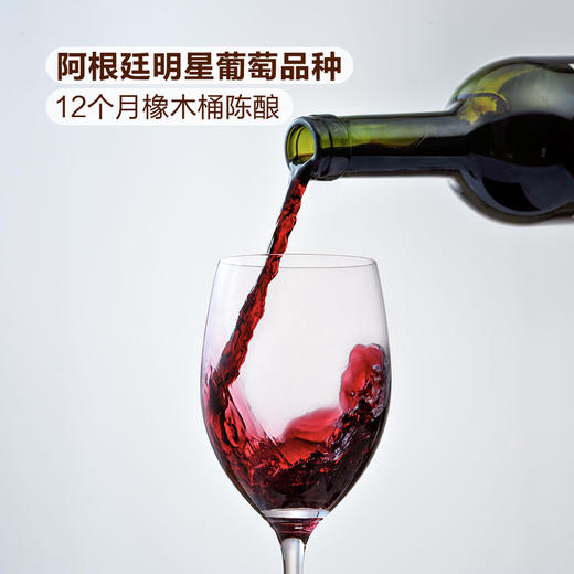 MM 山姆 卡蒂娜Catena Vinas阿根廷进口 维纳斯红葡萄酒 750ml 商品图3