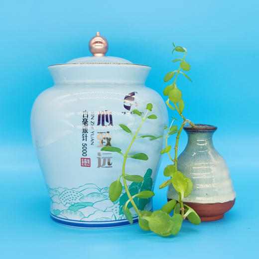 心致远白毫银针5000 商品图4