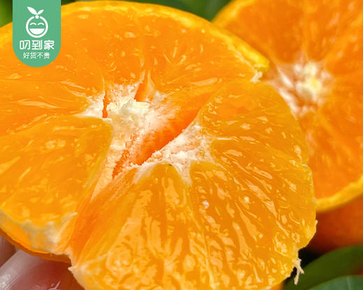 云南金秋砂糖橘/1份（1kg±50g） 商品图4