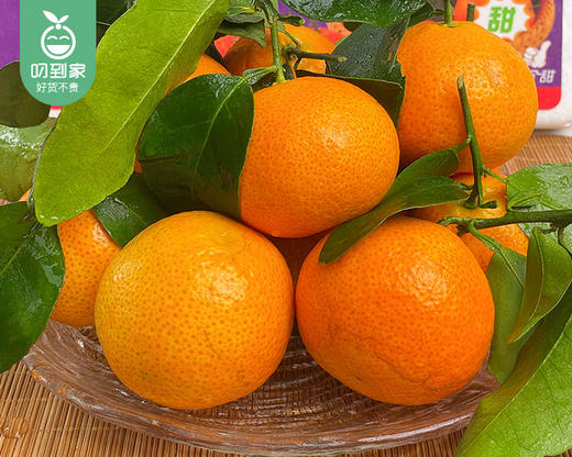 云南金秋砂糖橘/1份（1kg±50g） 商品图5