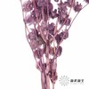 永生花材 | 灯笼果紫色 商品缩略图2