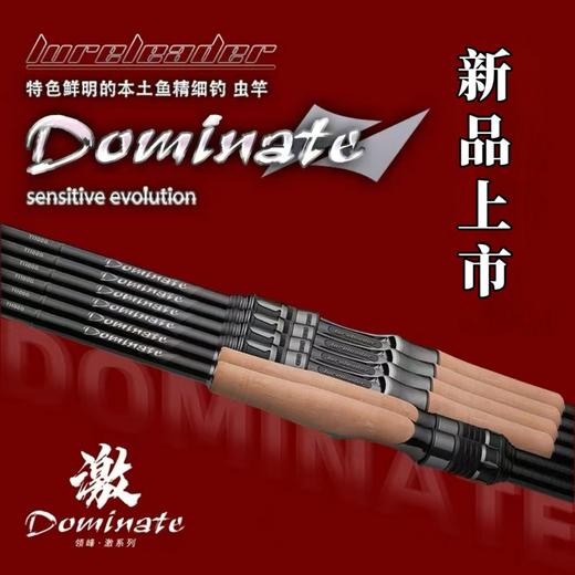 25款Lureleader领峰激系列路亚竿翘嘴鳜鱼鲈鱼轻量化虫竿直柄枪柄 商品图0