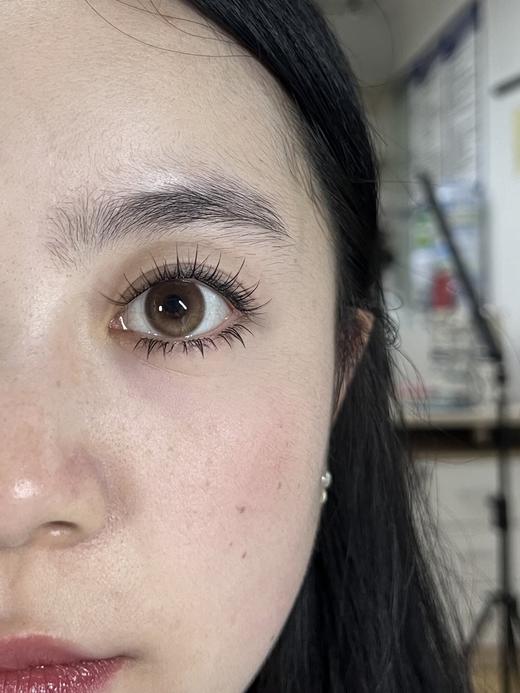 CN花花兔半年抛--暮色黄昏 商品图6