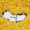 玉米兄弟®有机小米 商品缩略图4