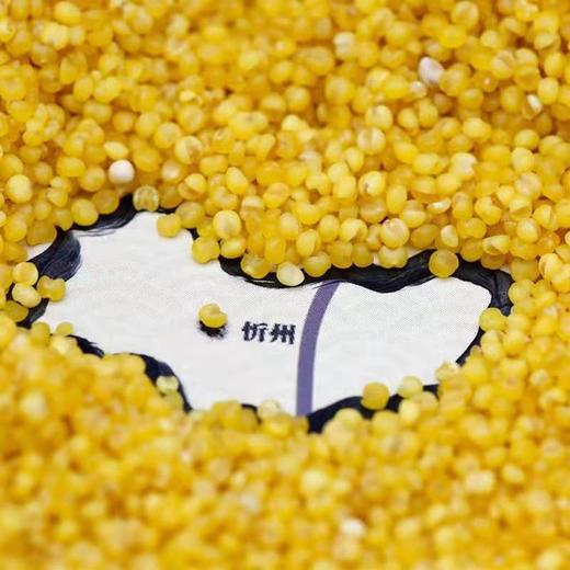 玉米兄弟®有机小米 商品图4