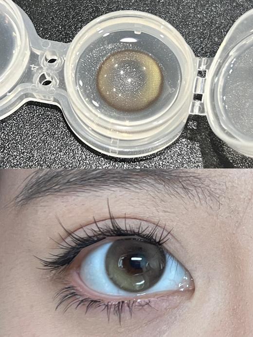 CN花花兔半年抛--白茶森林 商品图5