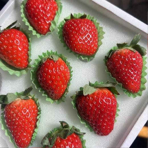 精选黑盒~丹东99草莓【12粒大果 净重约250克/盒】 商品图1