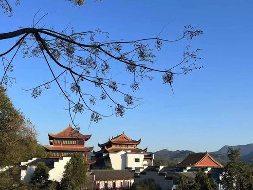 【林白老师推荐】九华清源禅寺 · 静心禅修 | 早课、禅坐、香道、解疑、洗心钟、颂钵等 商品图7